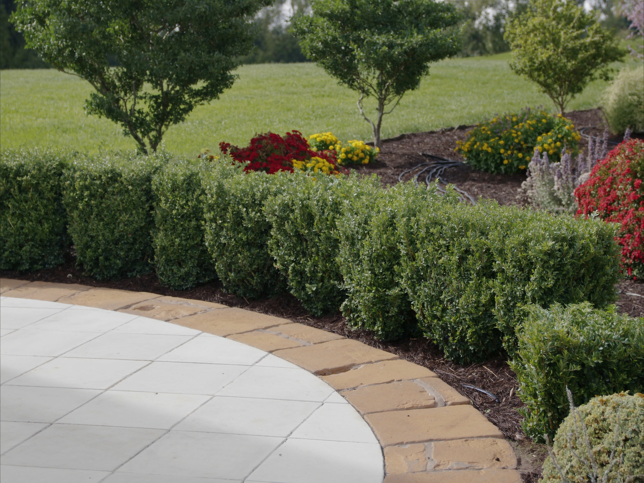 Manicured hedges and colorful flower beds
